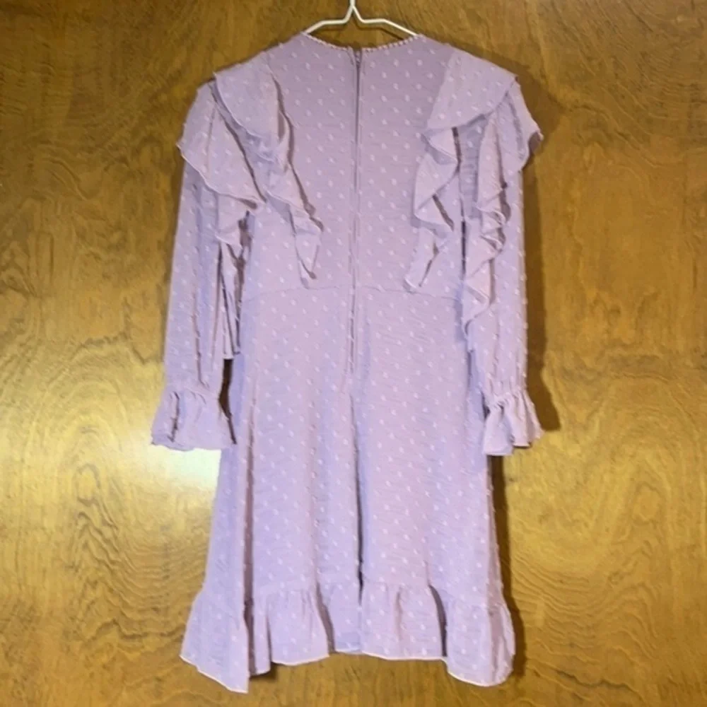 Poppies and Roses Ruffles and Dots Dress - EUC